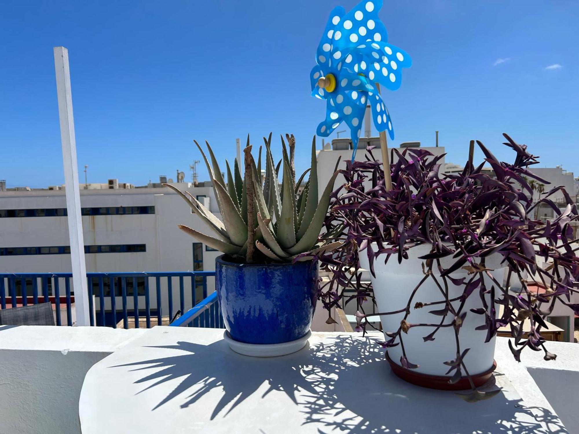 La Buganvilla Rooms Arrecife  Bagian luar foto