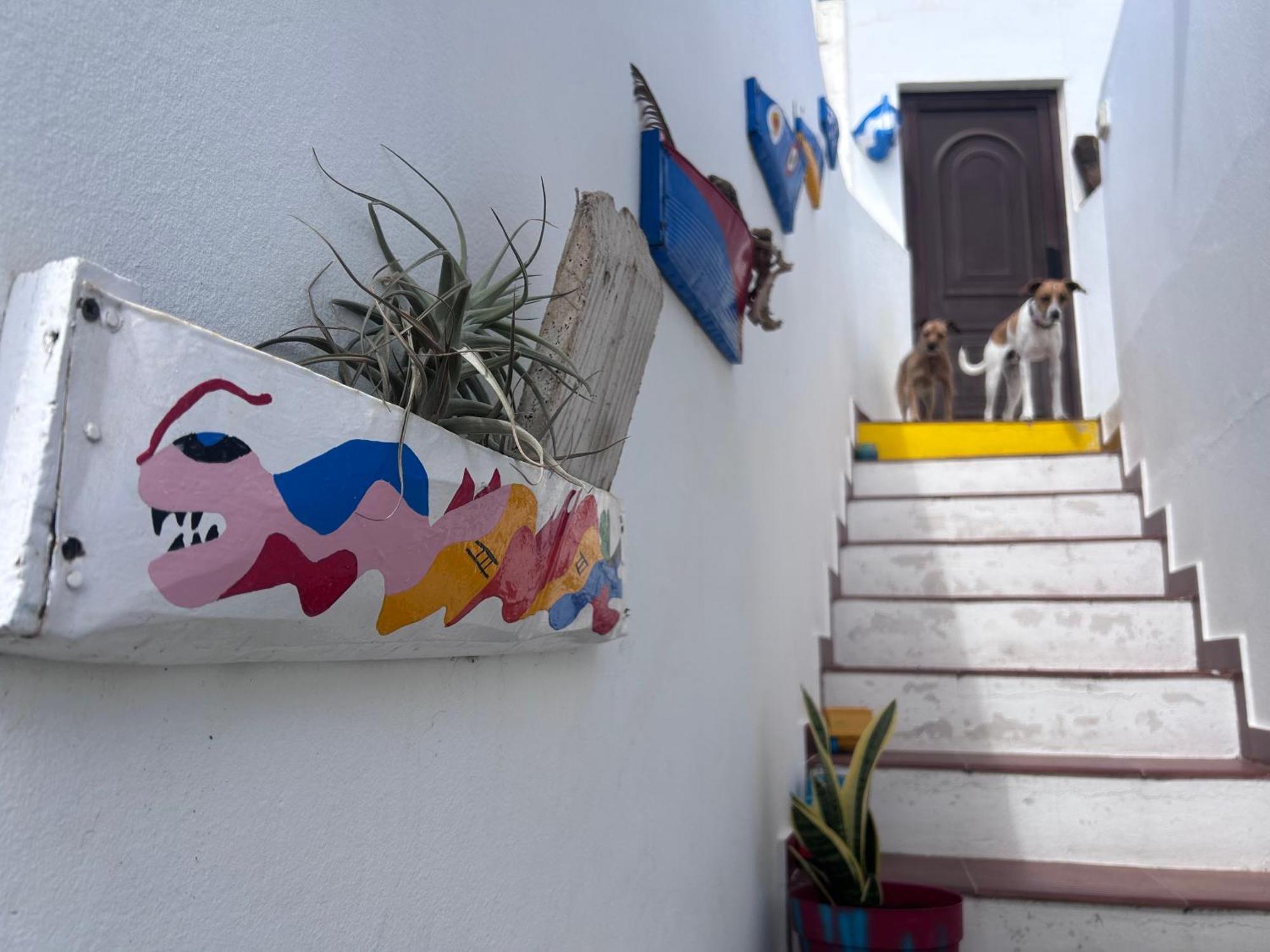 La Buganvilla Rooms Arrecife  Bagian luar foto